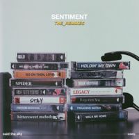 Said The Sky - Sentiment (The Remixes)