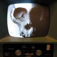 Unknown Mortal Orchestra - SB-04