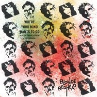 Blonde Redhead - Where Your Mind Wants to Go