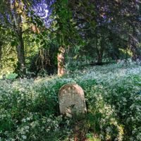 Dawn Treader - The Burial of the Dead