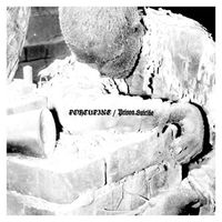 Porcupine - Porcupine & Prison Suicide Split