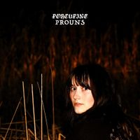 Porcupine - Porcupine & Prouns Split
