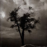 Alon Mor - Beloved