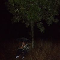 tmdistant - vivid memories of dreams i've never had