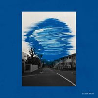 Strip Joint - 飛ぶという行為