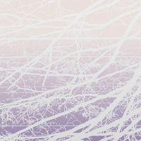 Lea Bertucci - Metal Aether