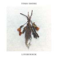 Torn Shore - Lifeburner