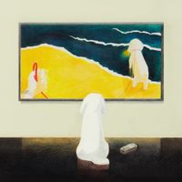 Yamafutatsu - Television