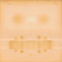 Dr. Dog - Love Struck