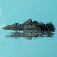 NIJI - Somewhere In The Middle (deluxe edition)