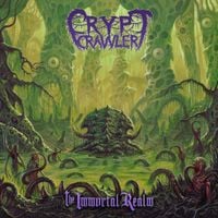 Crypt Crawler - The Immortal Realm