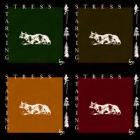 Boycomma - Stress Starving