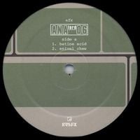 AFX - Analord 06