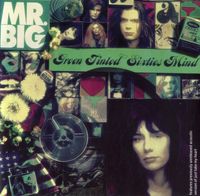 Mr. Big - Green Tinted Sixties Mind