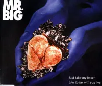 Mr. Big - Just Take My Heart