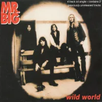 Mr. Big - Wild World