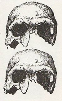 Borbetomagus - At In Roads