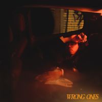 The Vices - Wrong Ones