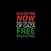 Declan Welsh and The Decadent West - Walk A Mile In Gaza