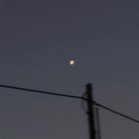 Flout - fragile