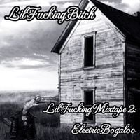 Lil Fucking Bitch - Lil Fucking Mixtape 2: Electric Boogaloo