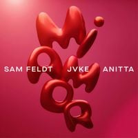 Sam Feldt - Mi Amor