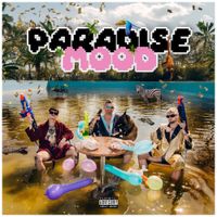 13K - PARADISE MOOD