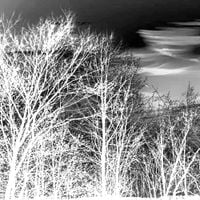 John Murray - Sounds Forming a Memory (Revived)