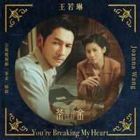 王若琳 [Joanna Wang] - You're Breaking My Heart