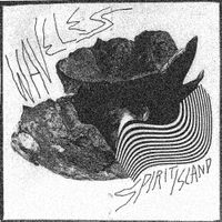 Waveless - Spirit Island