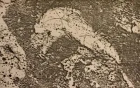 T. Nakamura - Chem. ab.