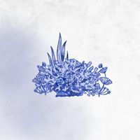 魚魚 [Fish Fish] - Coral Reef Mix