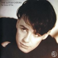 The Lotus Eaters - No Sense Of Sin
