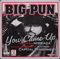 Big Pun - You Came Up