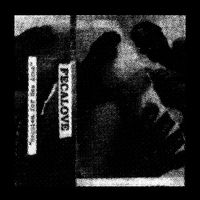 Fecalove - Requiem for Hos Arne