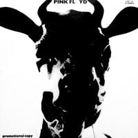 Pink Floyd - The Pink Floyd