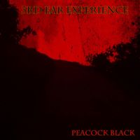 3rd Ear Experience - Peacock Black