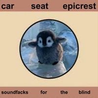 Car Seat Epicrest - im facked up im so facked up im sooooooo facked up you dont even know how facked up i am