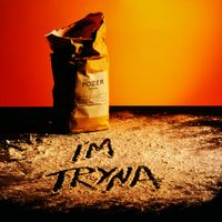 Pozer - I'M TRYNA