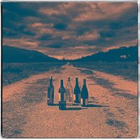 Revis - Bottles of Lightning