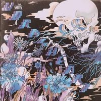 The Shins - The Worm's Heart