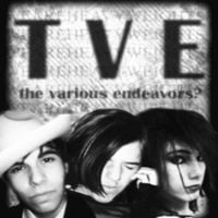 The Various Endeavors? - The Various Endeavors?