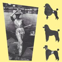Susans - Susans