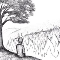 Ash Kaimal - Apocalyptic Serenity