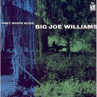 Big Joe Williams - Piney Woods Blues