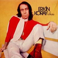 Erkin Koray - Erkin Koray Tutkusu