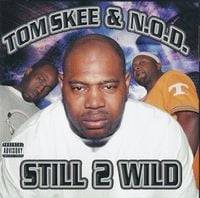 Tom Skeemask - Still 2 Wild