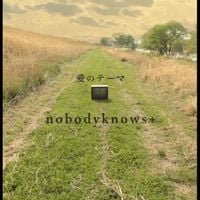Nobodyknows+ - 愛のテーマ [Love Theme] feat.中村耕一  [Koichi Nakamura]