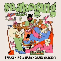 Snakehips - Been A Minute...