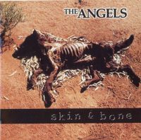 The Angels - Skin & Bone